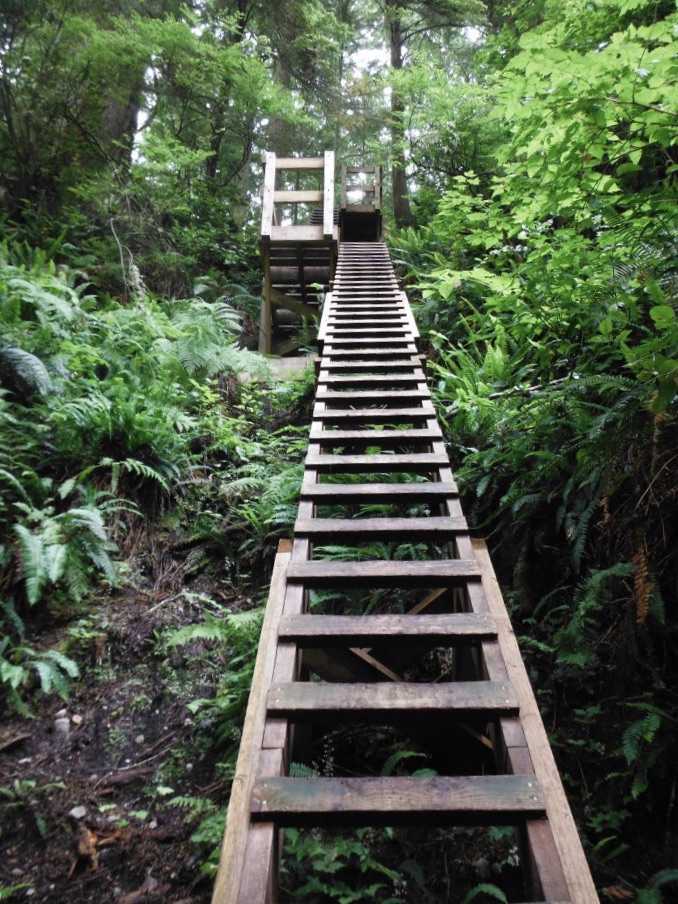 Ladder depicting potential